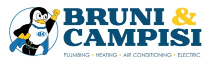 Bruni and Campisi