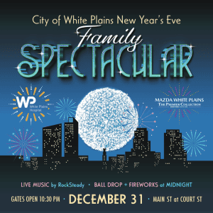 new years eve spectacular
